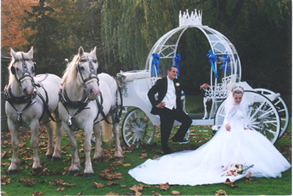 Cinderella Horse Drawn Wedding Carriage