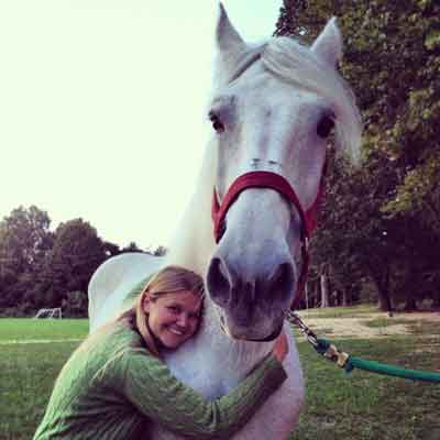 Horse Drawn Wedding Carriage Horse