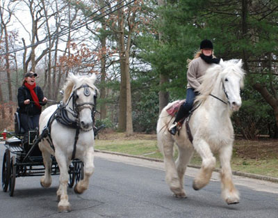 Horse Drawn Carriages