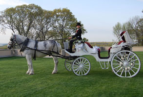 Horse Drawn Wedding Carriage LI