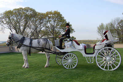 Horse Drawn Wedding Carriage